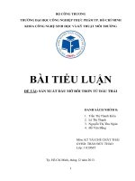 tieu luan mon tai che - cong nghe xu ly dau boi tron tu dau thai