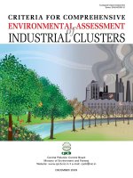 CRITERIA FOR COMPREHENSIVE ENVIRONMENTAL ASSESSMENT OF INDUSTRIAL CLUSTERS ppt