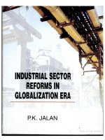industrial sector reforms in globalization era doc