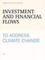 INVESTMENT AND FINANCIAL FLOWS TO ADDRESS CLIMATE CHANGE potx