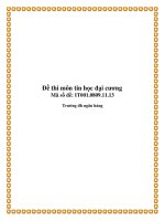 Đề thi môn tin học đại cương đề: IT001.0809.11.13 potx