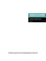 DEPARMENT FOR BUSINESS ENTERPRISE & REGULATORY REFORM: GUIDELINES FOR MANAGING PROJECTS ppt