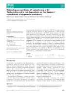 Báo cáo khoa học: Heterologous synthesis of cytochrome c¢ by Escherichia coli is not dependent on the System I cytochrome c biogenesis machinery ppt