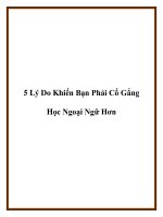 5 Lý Do Khiến Bạn Phải Cố Gắng Học Ngoại Ngữ Hơn docx