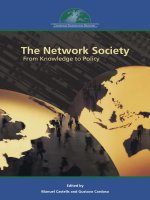 The Network Society - From Knowledge to Policy ppt