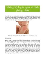 Những bệnh gây ngứa và cách phòng, chữa pot