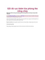 Gối đỏ rực thêm lửa phòng the nồng cháy pptx