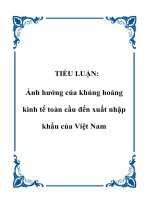 TIỂU LUẬN: Ảnh hưởng của khủng hoảng kinh tế toàn cầu đến xuất nhập khẩu của Việt Nam potx