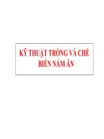 KỸ THUẬT TRỒNG VÀ CHẾ BIẾN NẤM ĂN doc
