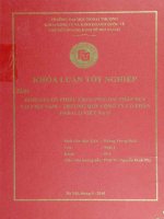 Định giá cổ phiếu theo phương pháp DCF tại Việt Nam- Trường hợp công ty cổ phần DABACCO Việt Nam