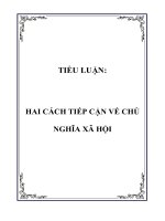 TIỂU LUẬN: HAI CÁCH TIẾP CẬN VỀ CHỦ NGHĨA XÃ HỘI potx