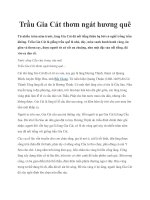 Trầu Gia Cát thơm ngát hương quê docx