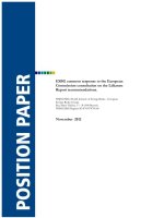 ESBG common response to the European Commission consultation on the Liikanen Report recommendations pot