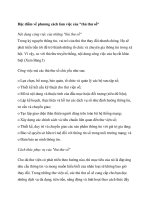 Đặc điểm về phương cách làm việc của 