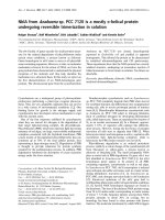 Báo cáo khoa học: NblA from Anabaena sp. PCC 7120 is a mostly a-helical protein undergoing reversible trimerization in solution pot
