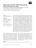 Báo cáo khoa học: Kinetic study of the HIV)1 DNA 3¢-end processing Single-turnover property of integrase docx