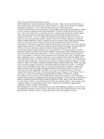 native american mascots should not be used