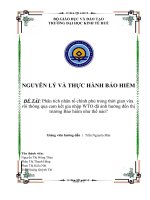 phân tích nhân tố chính phủ trong thời gian vừa rồi thông qua cam kết gia nhập wto đã ảnh hưởng đến thị trường bảo hiểm như thế nào