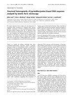 Báo cáo Y học: Structural heterogeneity of pyrimidine/purine-biased DNA sequence analyzed by atomic force microscopy potx