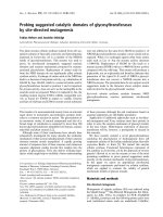 Báo cáo khoa học: Probing suggested catalytic domains of glycosyltransferases by site-directed mutagenesis Tobias Hefner and Joachim Stockigt ¨ ppt
