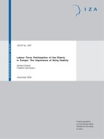 Labour Force Participation of the Elderly in Europe: The Importance of Being Healthy doc