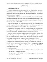 Giải pháp mở rộng thị trường nội địa của công ty Cổ Phần may Hồ Gươm tại thị trường miền Bắc