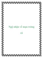 Ngộ nhận về mụn trứng cá doc