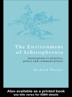 The Environment of Schizophrenia pptx