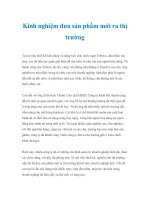 Kinh nghiệm đưa sản phẩm mới ra thị trường pptx