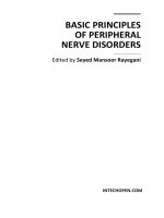 Basic Principles of Peripheral Nerve Disorders Edited by Seyed Mansoor Rayegani docx