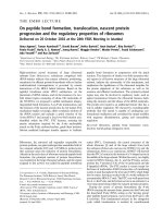 Báo cáo khoa học: On peptide bond formation, translocation, nascent protein progression and the regulatory properties of ribosomes ppt