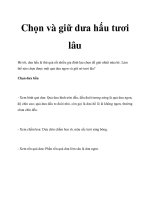 Chọn và giữ dưa hấu tươi lâu potx