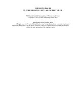 EMERGING ISSUES IN TURKISH INTELLECTUAL PROPERTY LAW potx