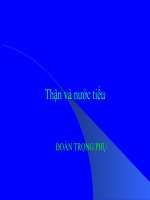 Thận và nước tiểu ppt