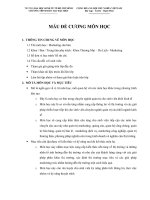 Những điều cần biết về marketing