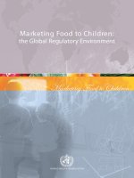 Marketing Food to Children: the Global Regulatory Environment doc