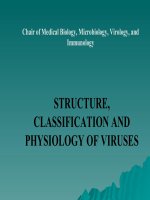 Morphology and physiology of viruses