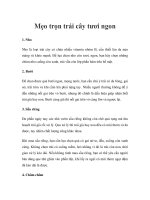 Mẹo chọn trái cây tươi ngon ppt