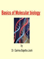 Basics of molecular biology