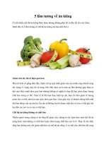 5 lầm tưởng về ăn kiêng pdf
