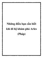 Những điều bạn cần biết khi đi bộ khám phá Arles (Pháp) pptx