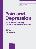 Pain And Depression: An Interdisciplinary Patient-centered Approach (Advances in Psychosomatic Medicine pptx