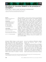 Báo cáo khoa học: The effects of a-secretase ADAM10 on the proteolysis of neuregulin-1 pot