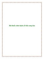 Bài thuốc chữa bệnh yết hầu sưng đau potx