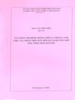Báo cáo kết quả dự án: Xây dựng Mô hình trồng mới và thâm canh chè, vải, nhãn trên đất đồi g̣ tại huyện Phổ Yên, tỉnh Thái Nguyên pot