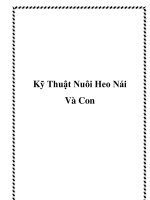 Kỹ Thuật Nuôi Heo Nái Và Con pptx