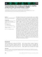 Báo cáo khoa học: Transmembrane helix 12 plays a pivotal role in coupling energy provision and drug binding in ABCB1 pot
