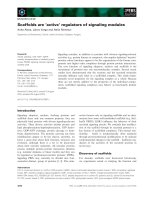 Báo cáo khoa học: Scaffolds are ‘active’ regulators of signaling modules doc