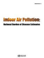 Indoor Air Pollution: National Burden of Disease Estimates ppt