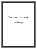 Tôm giống - chất lượng còn bỏ ngỏ pot